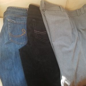 3 pair Loft 8 Petite pants bundle